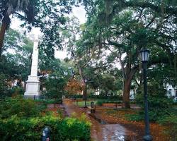 Image of mossdraped square in Savannah