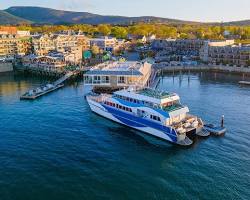 Image of Bar Harbor Whale Watch Co.